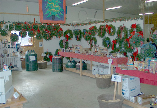 Pleasant Valley Tree Farm - Holiday Gift Barn