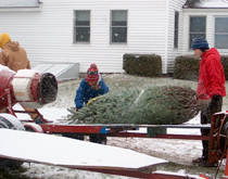 Pleasant Valley Tree Farm - Wrapping Christmas Trees