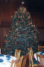 Pleasant Valley Tree Farm - VT State Christmas Tree