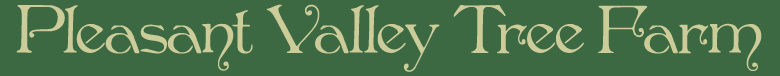 Pleasant Valley Tree Farm, Cut Your Own and Pre-Cut Christmas Trees
