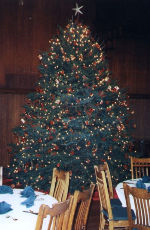 Pleasant Valley Tree Farm - VT State Christmas Tree